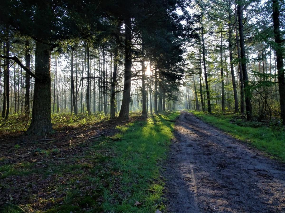 Veluwe Park Reewold Chalet Talisman Putten Eksteriør billede
